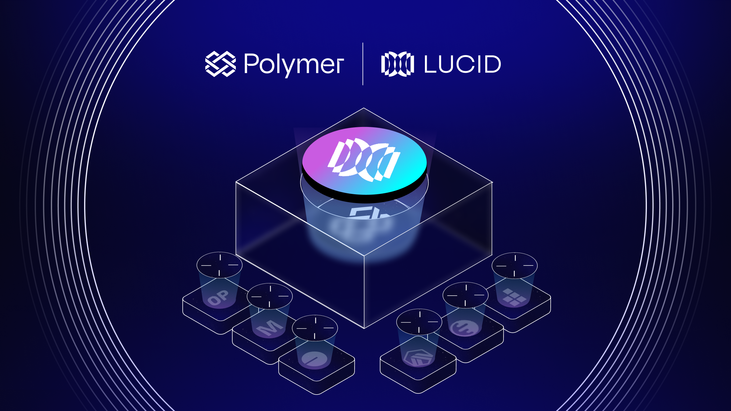 Lucid Integrates Polymer for Real Time Liquidity Management